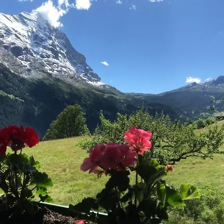 Beim Faulensee 2-bett 1 Stock West * Grindelwald