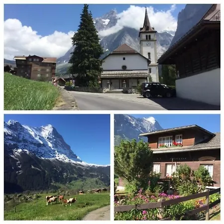 Beim Faulensee 2-bett 1 Stock West Apartment *