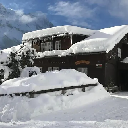 Beim Faulensee 2-bett 1 Stock West Apartment Grindelwald